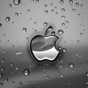 Meet your Posher, Francisco